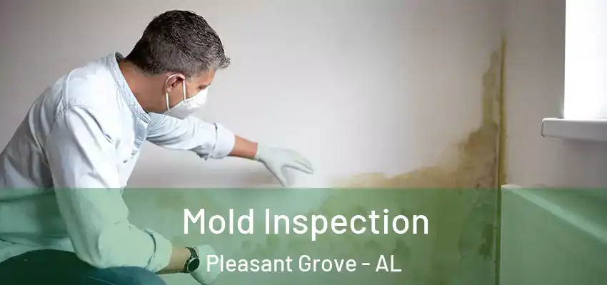  Mold Inspection Pleasant Grove - AL