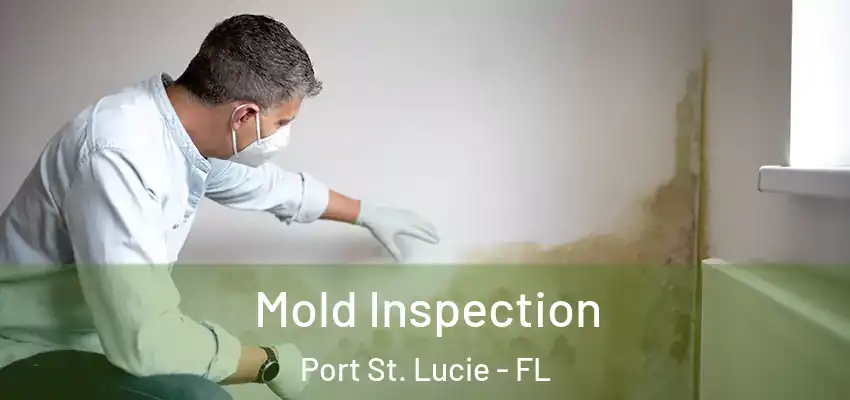  Mold Inspection Port St. Lucie - FL