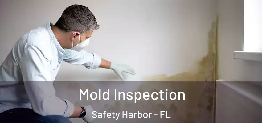 Mold Inspection Safety Harbor - FL