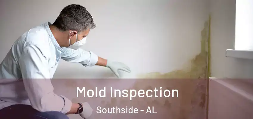 Mold Inspection Southside - AL
