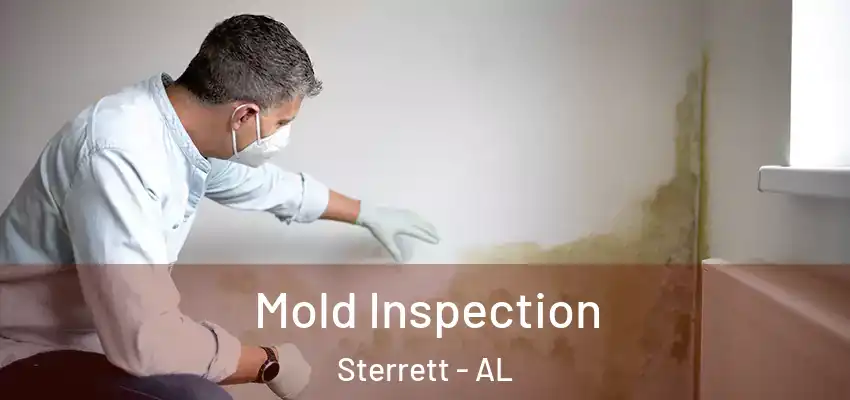 Mold Inspection Sterrett - AL