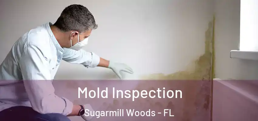  Mold Inspection Sugarmill Woods - FL