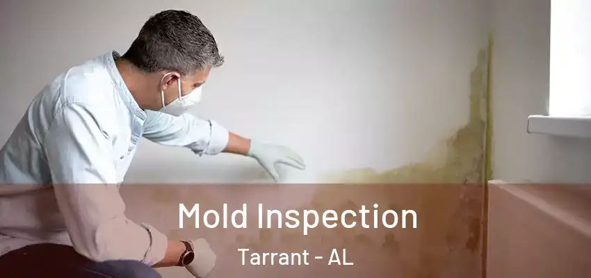 Mold Inspection Tarrant - AL