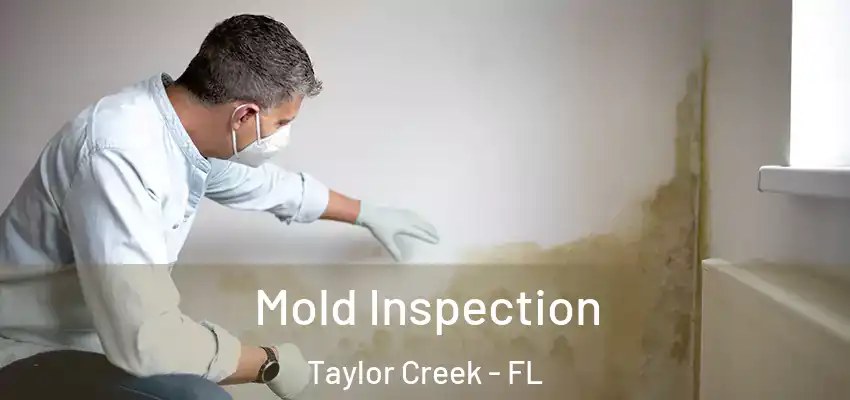 Mold Inspection Taylor Creek - FL