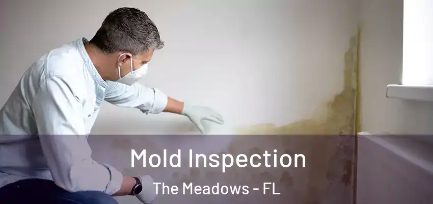 Mold Inspection The Meadows - FL