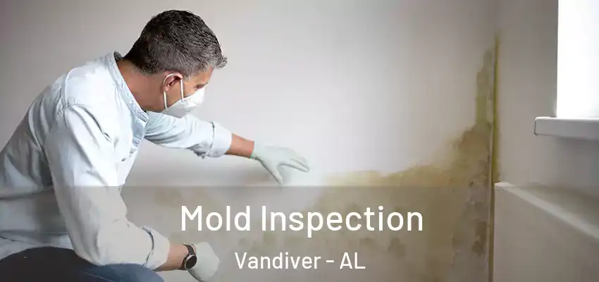 Mold Inspection Vandiver - AL