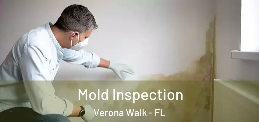  Mold Inspection Verona Walk - FL