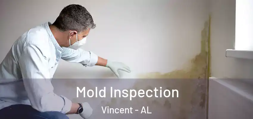 Mold Inspection Vincent - AL