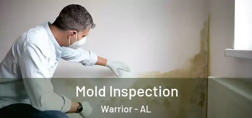 Mold Inspection Warrior - AL