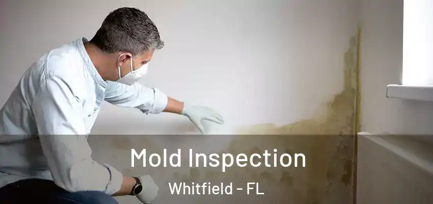 Mold Inspection Whitfield - FL