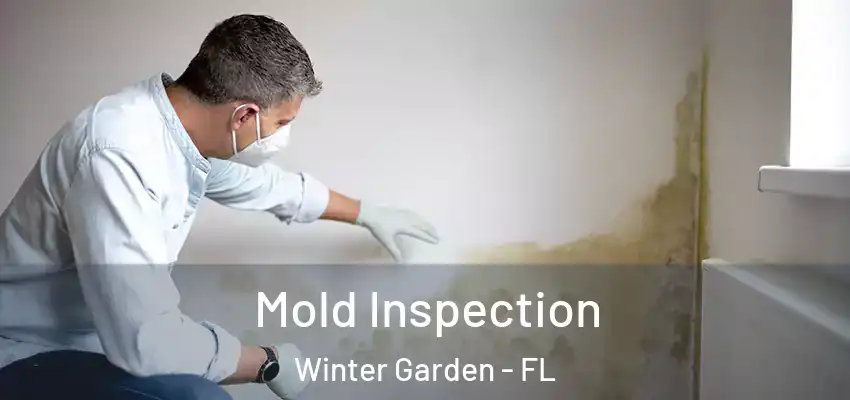  Mold Inspection Winter Garden - FL