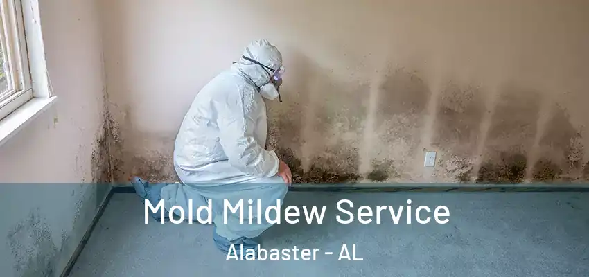  Mold Mildew Service Alabaster - AL