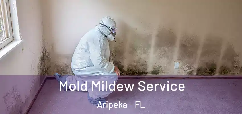 Mold Mildew Service Aripeka - FL