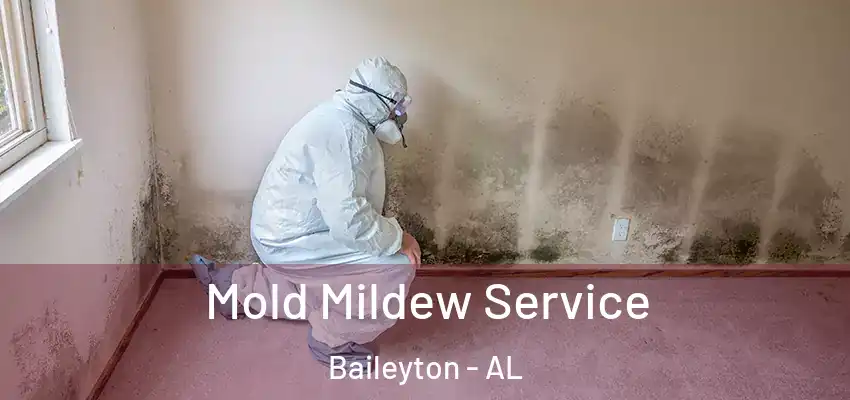  Mold Mildew Service Baileyton - AL