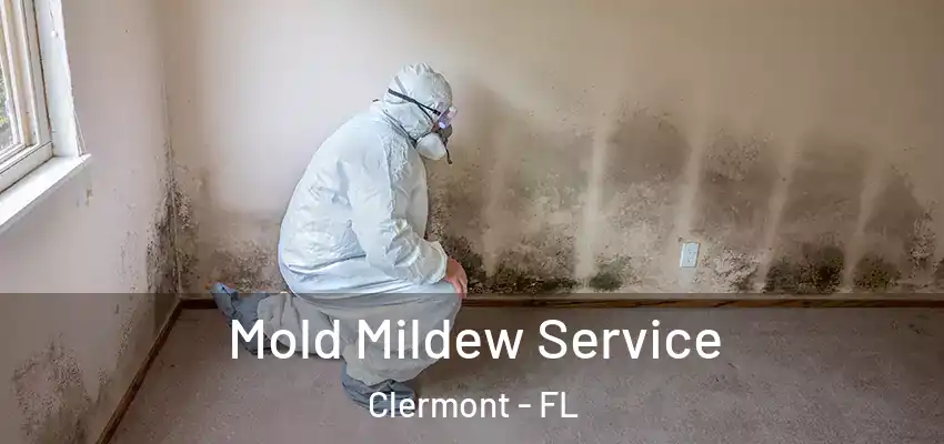 Mold Mildew Service Clermont - FL