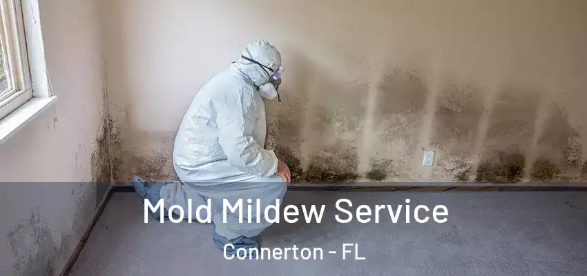  Mold Mildew Service Connerton - FL