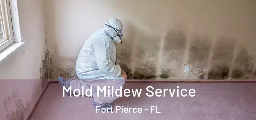  Mold Mildew Service Fort Pierce - FL