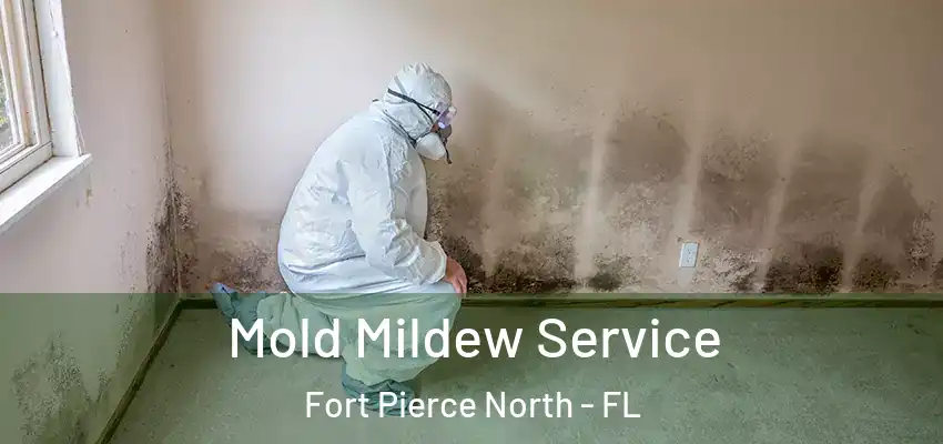 Mold Mildew Service Fort Pierce North - FL