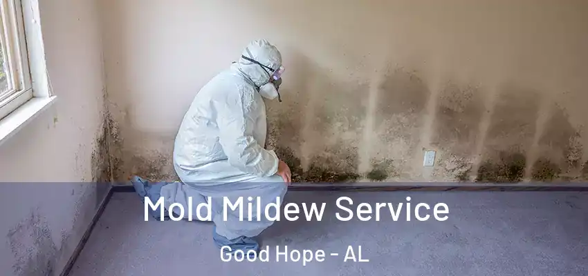 Mold Mildew Service Good Hope - AL