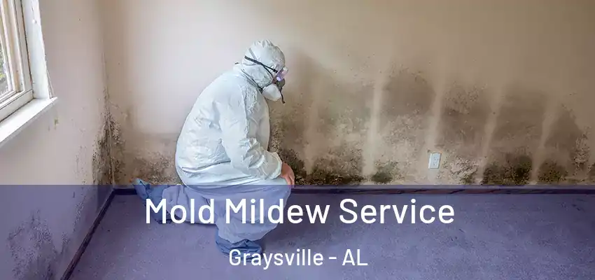  Mold Mildew Service Graysville - AL