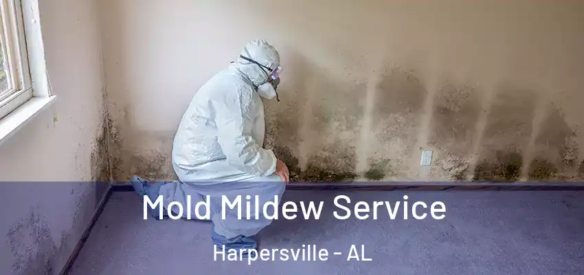 Mold Mildew Service Harpersville - AL