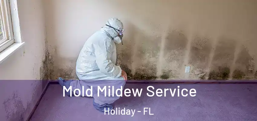 Mold Mildew Service Holiday - FL