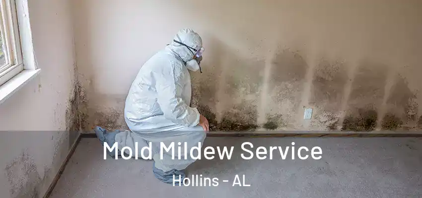  Mold Mildew Service Hollins - AL
