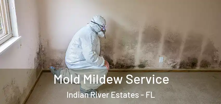  Mold Mildew Service Indian River Estates - FL