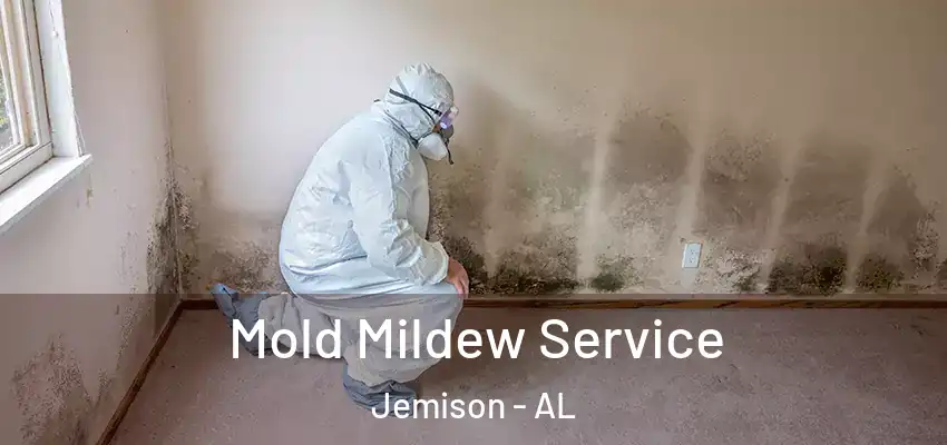 Mold Mildew Service Jemison - AL
