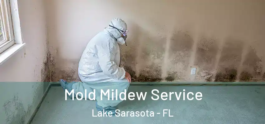 Mold Mildew Service Lake Sarasota - FL