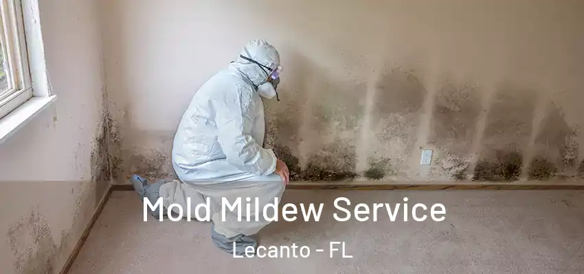  Mold Mildew Service Lecanto - FL