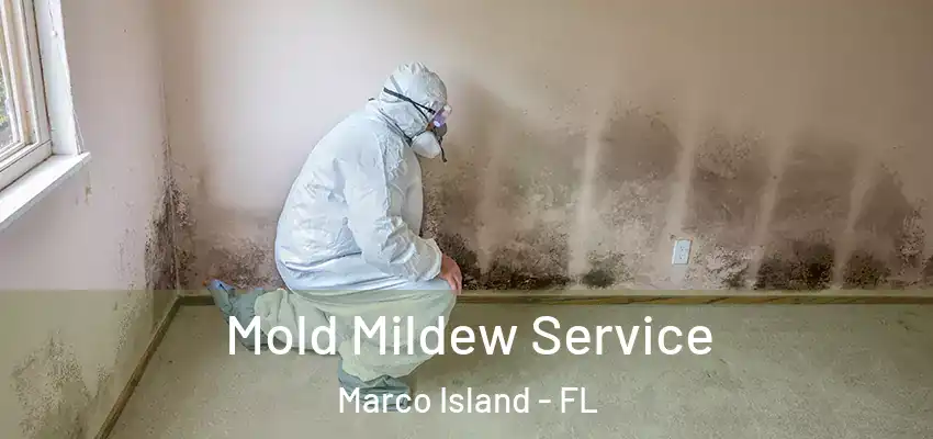  Mold Mildew Service Marco Island - FL