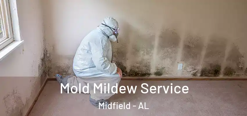 Mold Mildew Service Midfield - AL