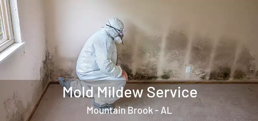 Mold Mildew Service Mountain Brook - AL