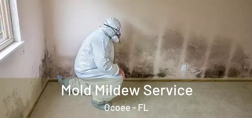 Mold Mildew Service Ocoee - FL