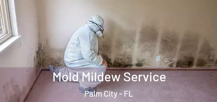 Mold Mildew Service Palm City - FL