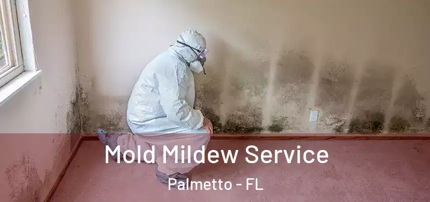 Mold Mildew Service Palmetto - FL