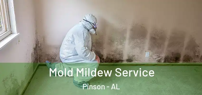 Mold Mildew Service Pinson - AL
