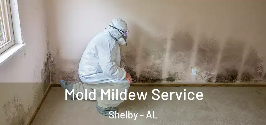 Mold Mildew Service Shelby - AL