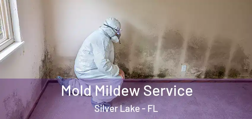 Mold Mildew Service Silver Lake - FL