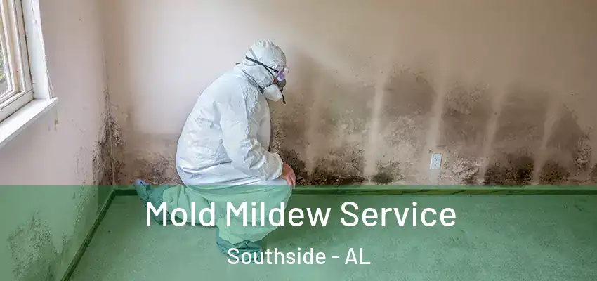  Mold Mildew Service Southside - AL