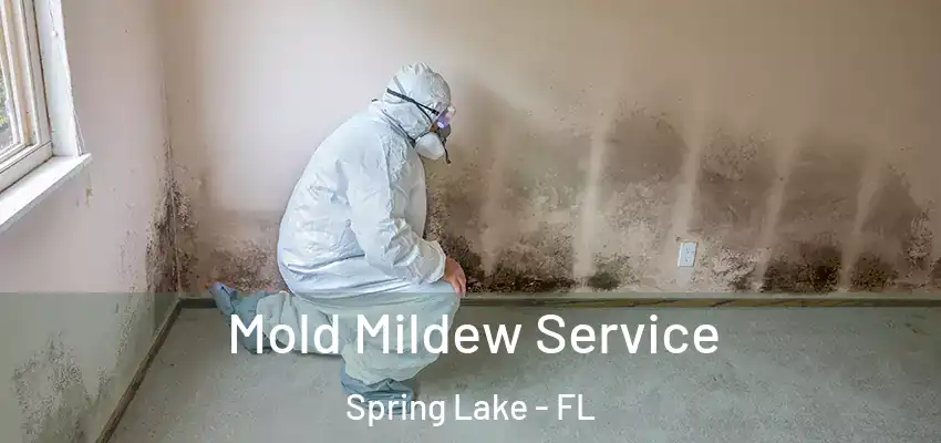  Mold Mildew Service Spring Lake - FL