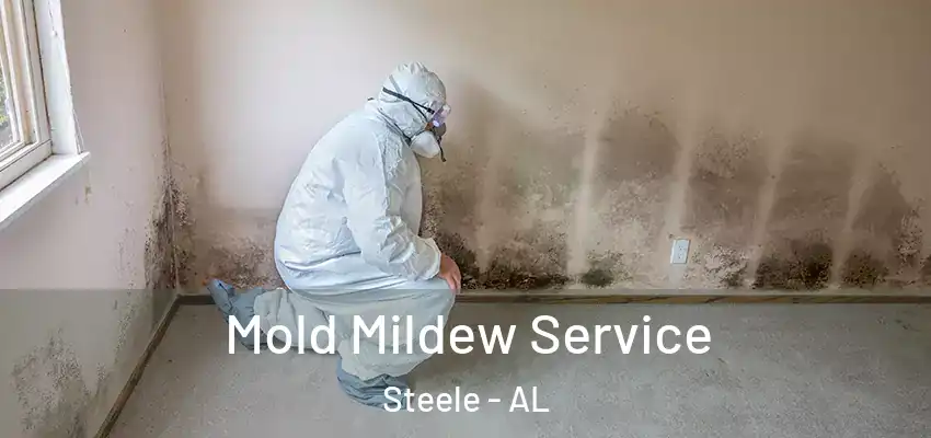 Mold Mildew Service Steele - AL