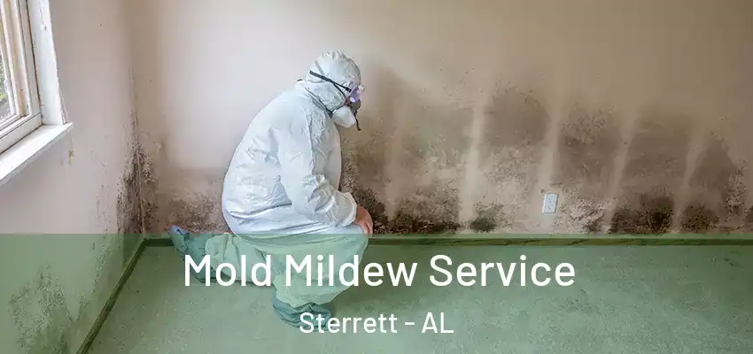 Mold Mildew Service Sterrett - AL