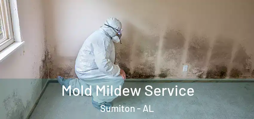 Mold Mildew Service Sumiton - AL