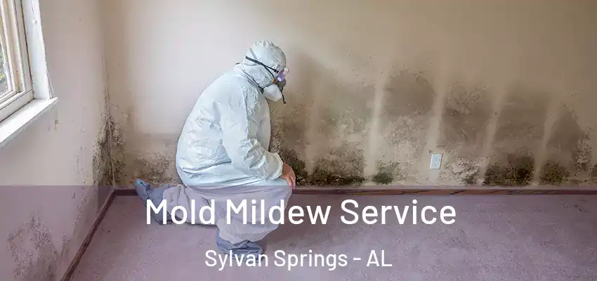  Mold Mildew Service Sylvan Springs - AL