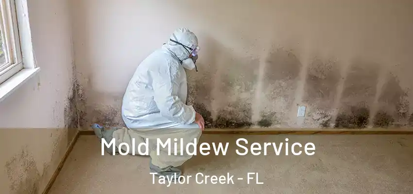  Mold Mildew Service Taylor Creek - FL