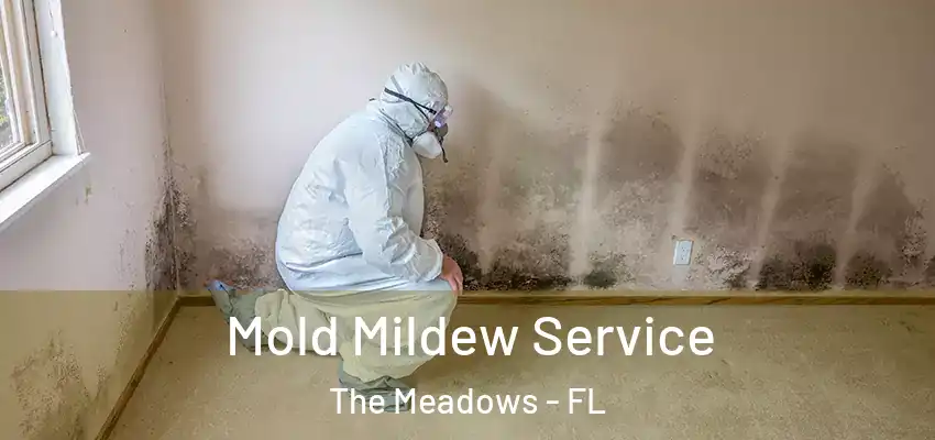 Mold Mildew Service The Meadows - FL