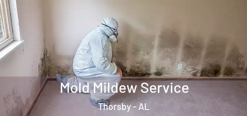  Mold Mildew Service Thorsby - AL