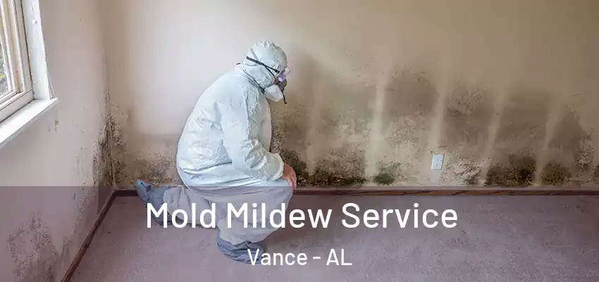 Mold Mildew Service Vance - AL